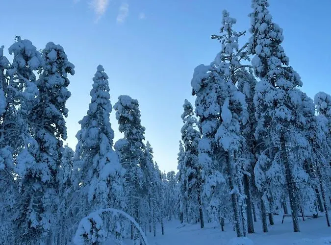 Levi Aurora Sky