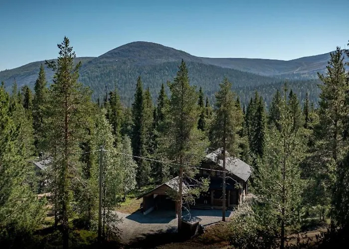 Napakettu